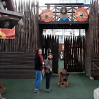 DSCN4085