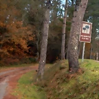 DSCN9367'5