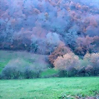 DSCN5023