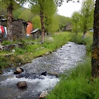 DSCN1254