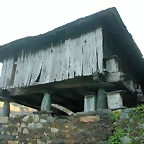 DSCN8588