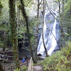 DSCN4741