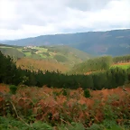 DSCN6242