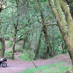 23-IMG_1705