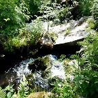 DSCN2471