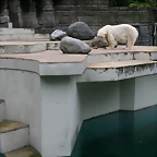 Zoos Wuppertal, Dortmund y Gelsenkirchen 01-10-09 061
