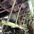 DSCN5019