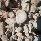 am