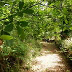 DSCN4342