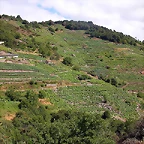DSCN1686