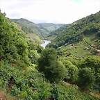 DSCN1694