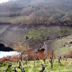 DSCN1340
