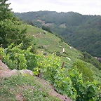 DSCN1684