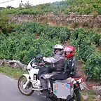 DSCN1683