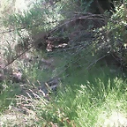 almedijar 070