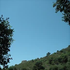almedijar 075