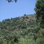 almedijar 104