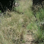 almedijar 073