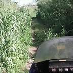 almedijar 064