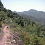 almedijar 078