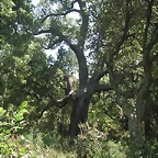 almedijar 102
