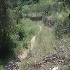 almedijar 100