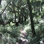 almedijar 105