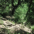 almedijar 096