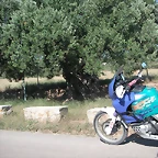almedijar 045