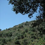 almedijar 074