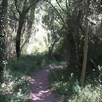 almedijar 107