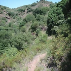 almedijar 079