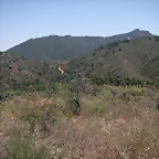 almedijar 087