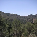 almedijar 095