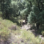 almedijar 077