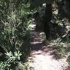 almedijar 109