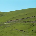 SANY0854