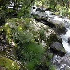 DSCN2779