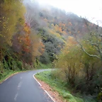 DSCN0968