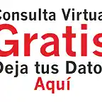 Consulta Virtual