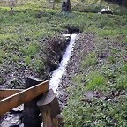 DSCN7310