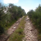 DSCN4195