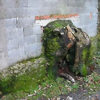 DSCN6155