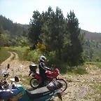 DSCN5734