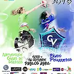 CartelSupercopaVoleyFem2016-1