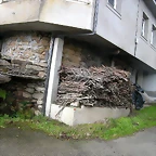 DSCN7336