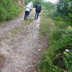 DSCN4247