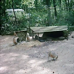 PIC03339