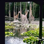 PIC03344