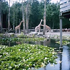 PIC03342